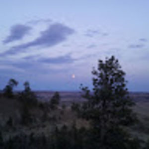 Meet your Posher, Tana